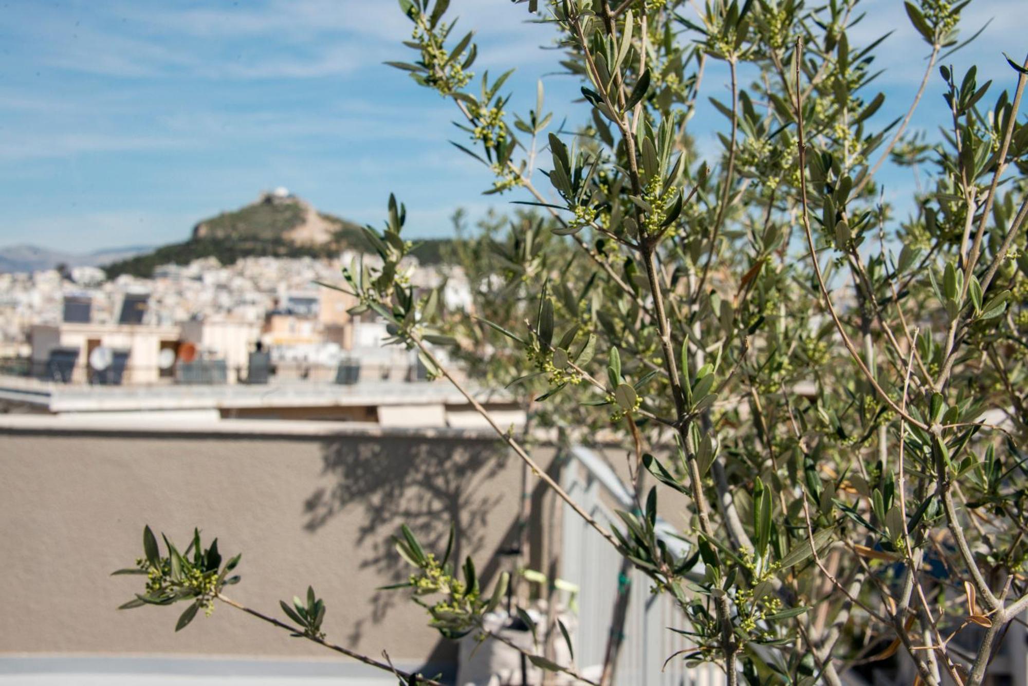 Appartement The Athenian Oasis Extérieur photo